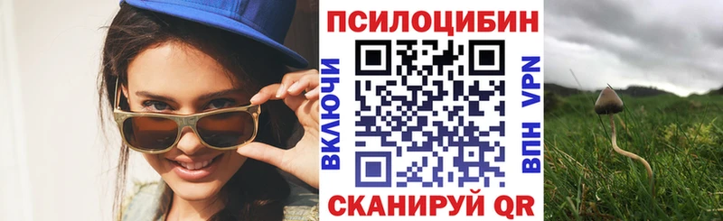 Галлюциногенные грибы Psilocybine cubensis как найти наркотики blacksprut маркетплейс Цимлянск