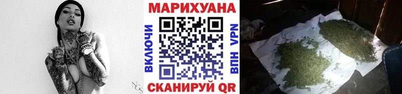 Канабис сатива  Цимлянск 